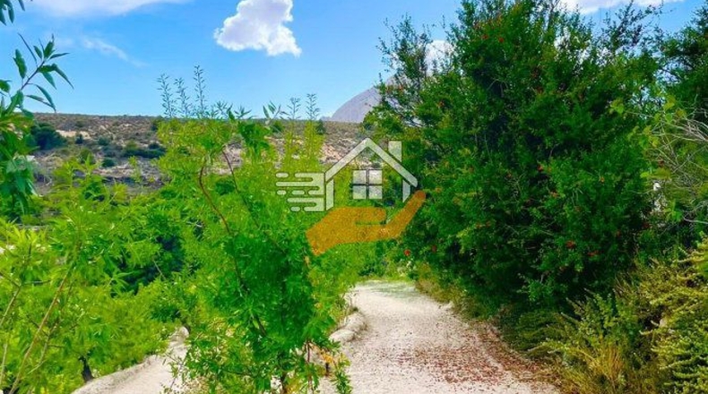 Almería - Topares - 5000m2