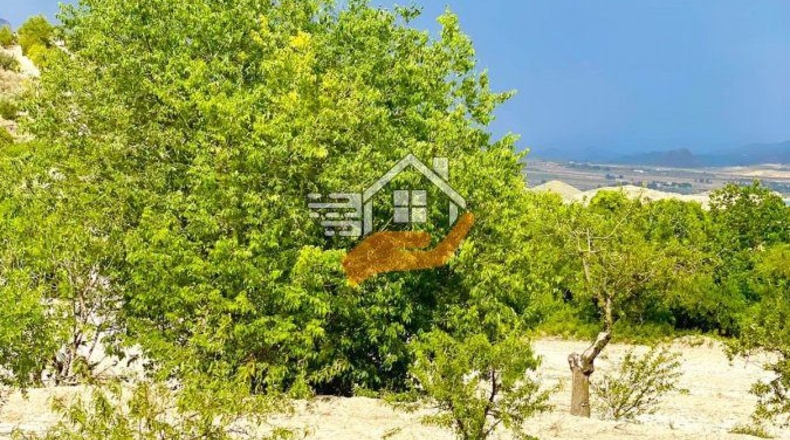 Almería - Topares - 5000m2