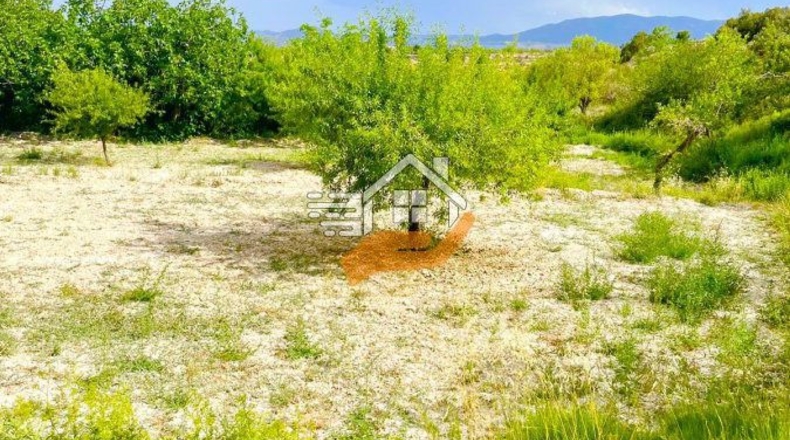 Almería - Topares - 2500m2