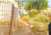 Land suitable for development for sale in Vélez-Rubio ref: TR253712 photo