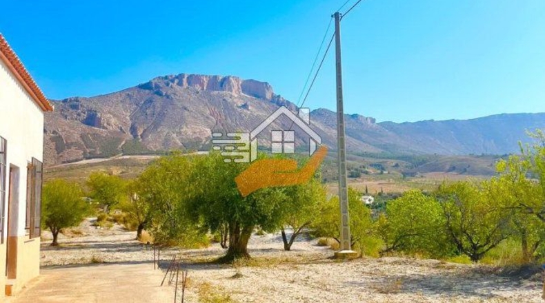 Almería - Vélez-Blanco - 7739m2