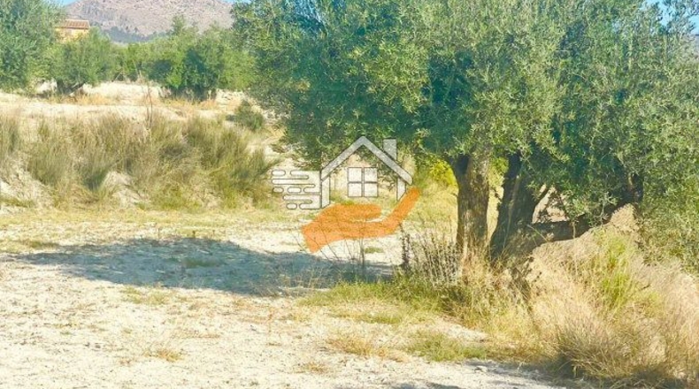 Almería - Vélez-Blanco - 7739m2