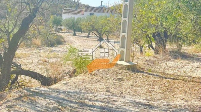 Almería - Vélez-Blanco - 7739m2