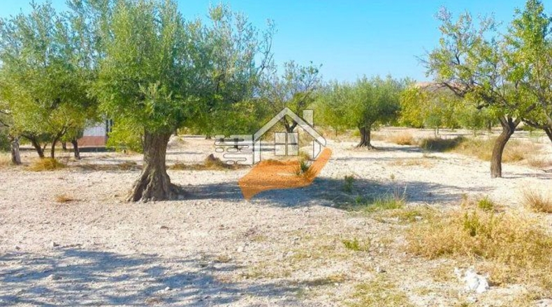 Almería - Vélez-Blanco - 7739m2