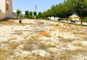 Land suitable for development for sale in Vélez-Rubio ref: TR271346 photo