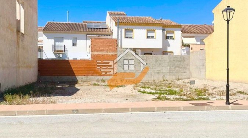 Almería - Vélez-Rubio - 216m2