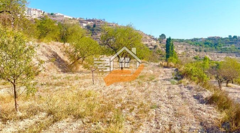 Almeria - Vélez-Blanco - 12000m2