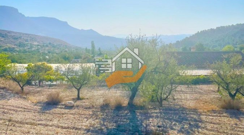 Almeria - Vélez-Blanco - 12000m2