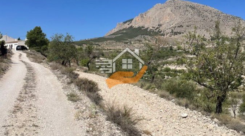 Almería - Vélez-Blanco - 6592m2