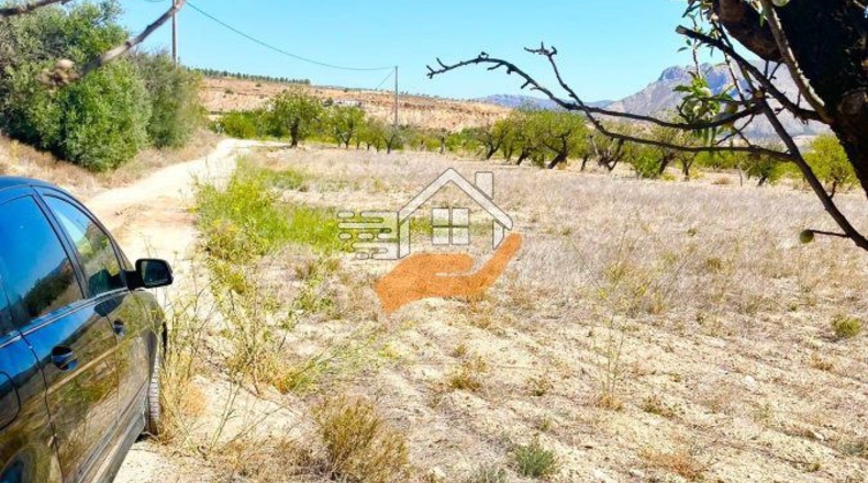 Almeria - Vélez-Blanco - 4843m2