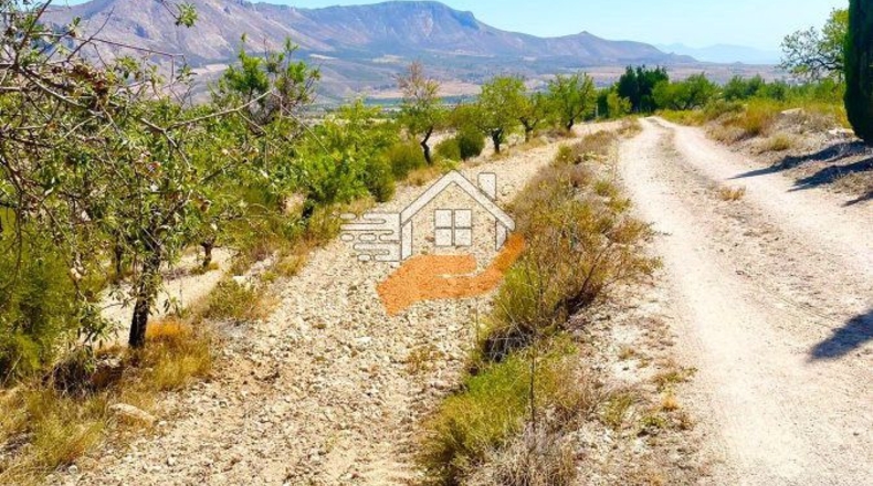 Almeria - Vélez-Blanco - 4843m2