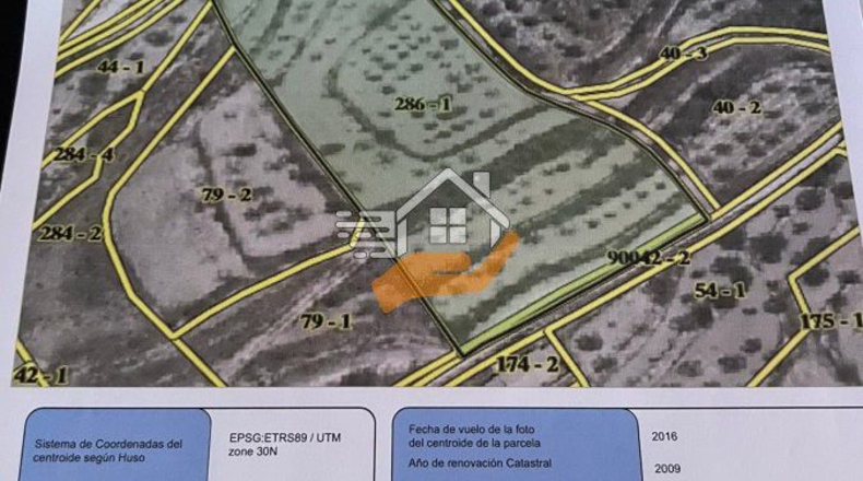Almería - Vélez-Blanco - 8522m2