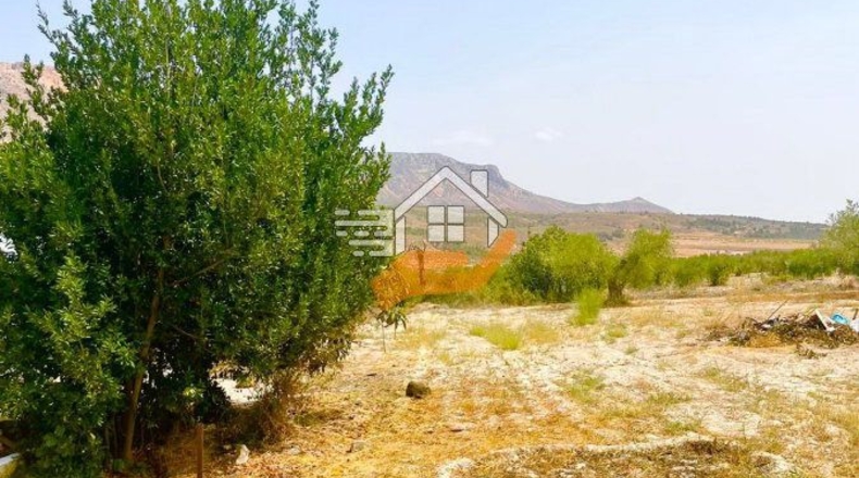 Almería - Vélez-Blanco - 20000m2