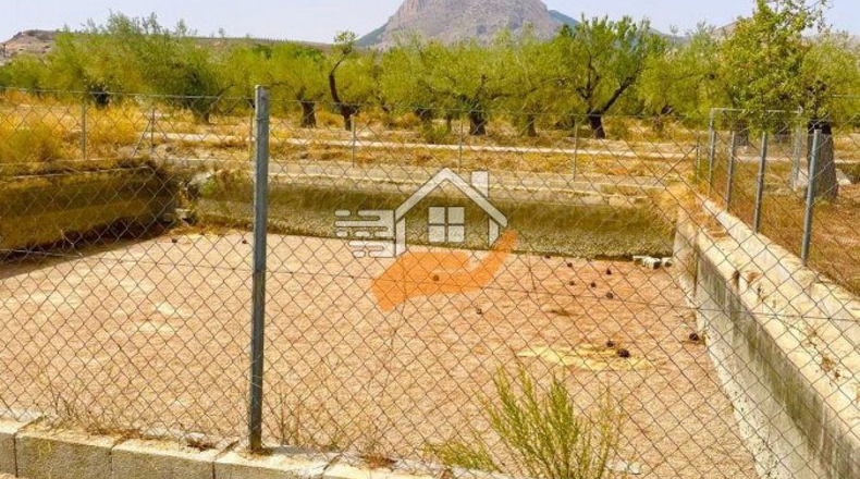 Almería - Vélez-Blanco - 20000m2