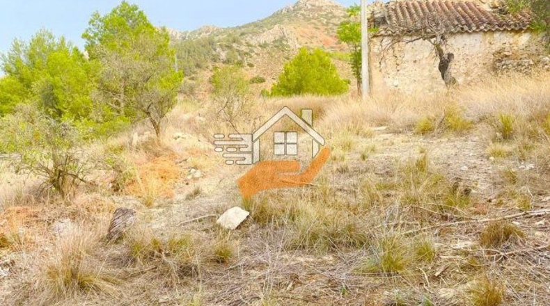 Almeria - Vélez-Rubio - 1460m2