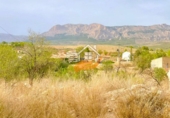 Finca rústica en venda a Vélez-Rubio ref.: TR187860 foto