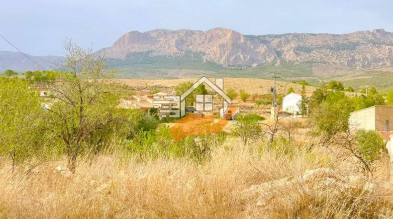 Almeria - Vélez-Rubio - 1460m2