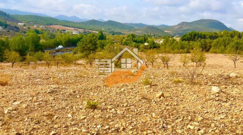 Almería - Vélez-Rubio - 220000m2