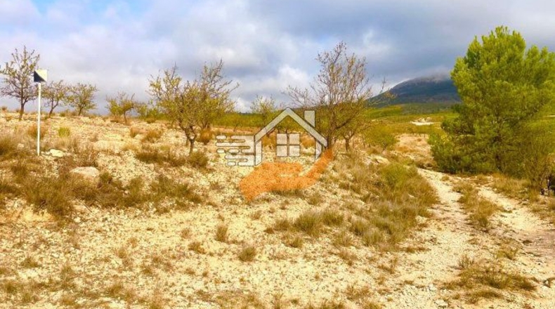 Almería - Vélez-Rubio - 220000m2