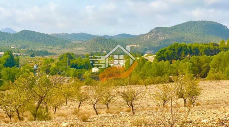 Almería - Vélez-Rubio - 220000m2