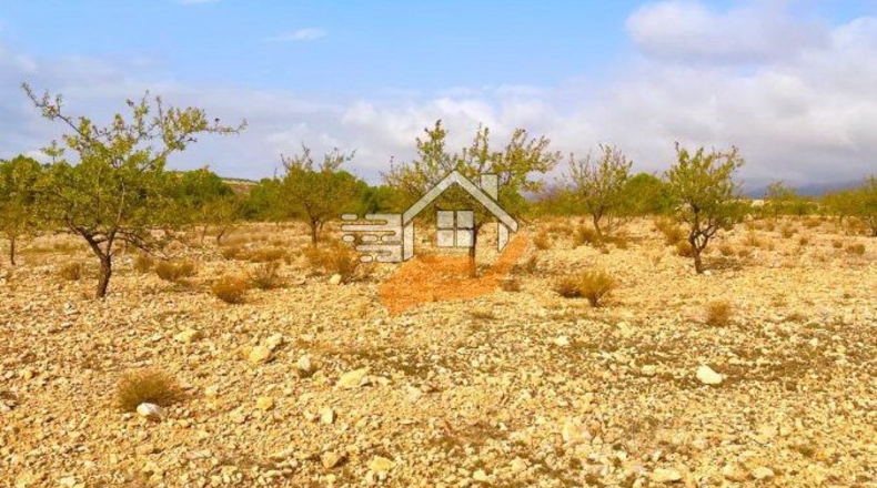 Almería - Vélez-Rubio - 220000m2