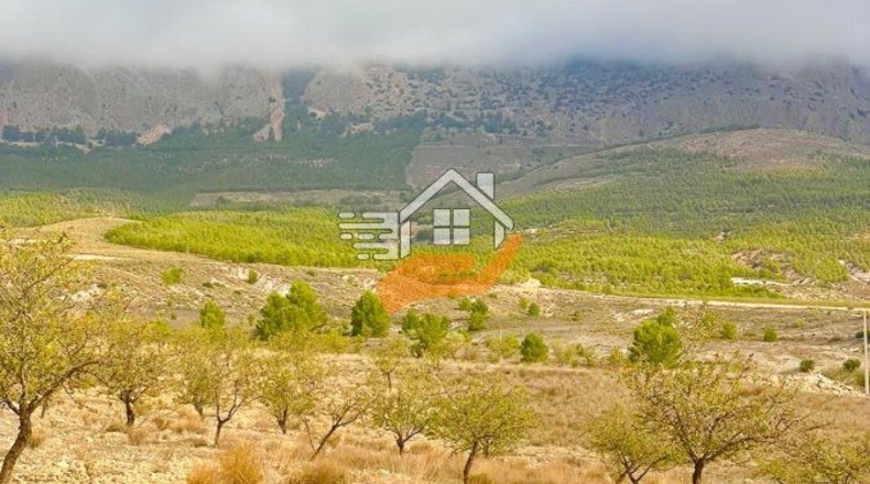 Almería - Vélez-Rubio - 220000m2