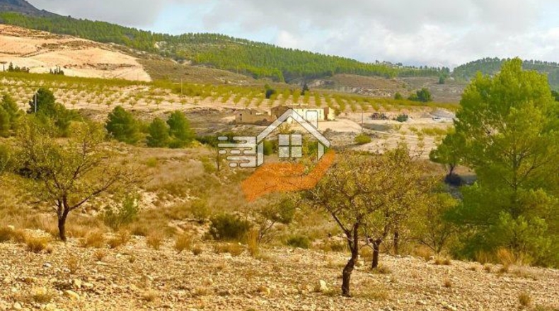 Almería - Vélez-Rubio - 220000m2