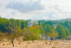 Foto 11