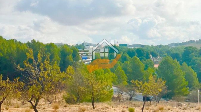 Almería - Vélez-Rubio - 220000m2