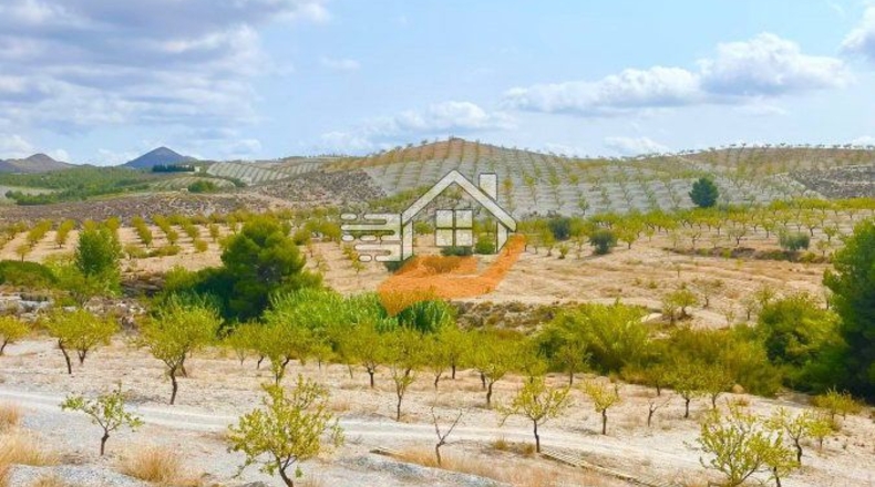 Almería - Vélez-Rubio - 130000m2