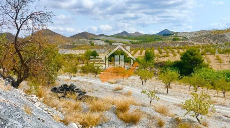 Almería - Vélez-Rubio - 130000m2