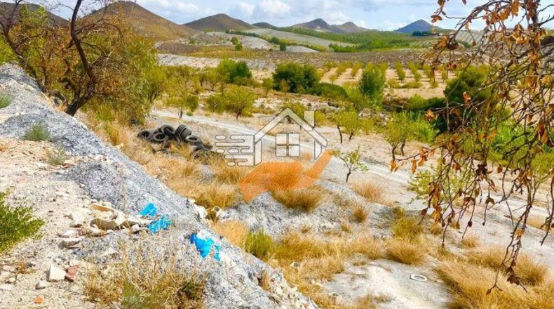 Almería - Vélez-Rubio - 130000m2