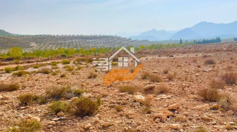 Almería - Vélez-Rubio - 110000m2