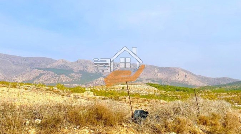 Almería - Vélez-Rubio - 110000m2