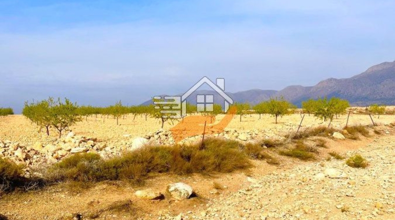 Almería - Vélez-Rubio - 110000m2