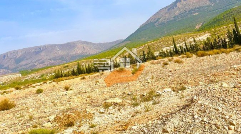 Almería - Vélez-Rubio - 110000m2