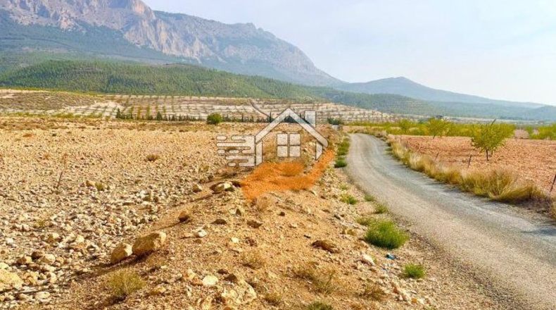 Almería - Vélez-Rubio - 110000m2