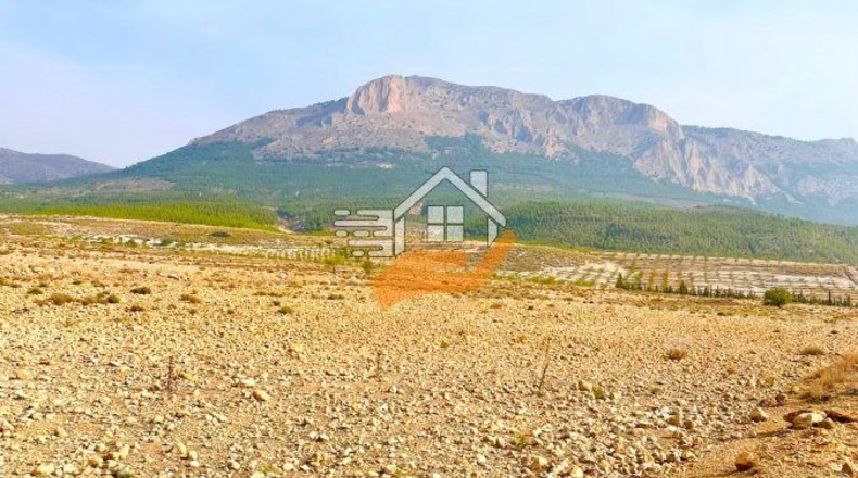 Almería - Vélez-Rubio - 110000m2