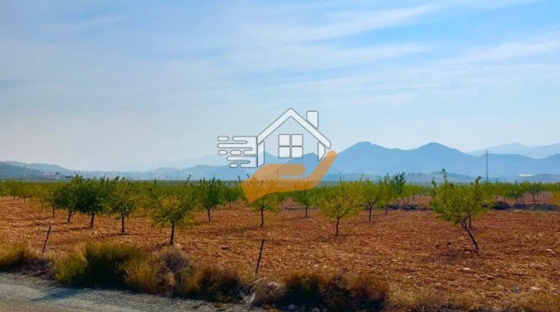Almería - Vélez-Rubio - 110000m2