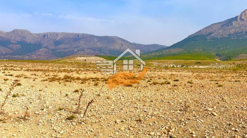 Almería - Vélez-Rubio - 110000m2