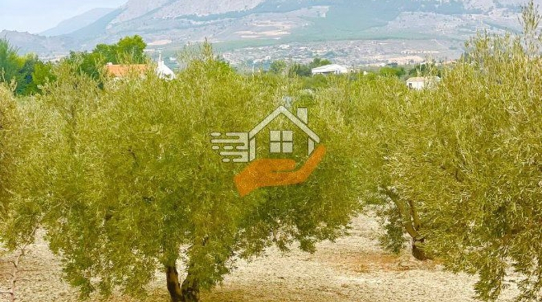 Almería - Vélez-Rubio - 4840m2