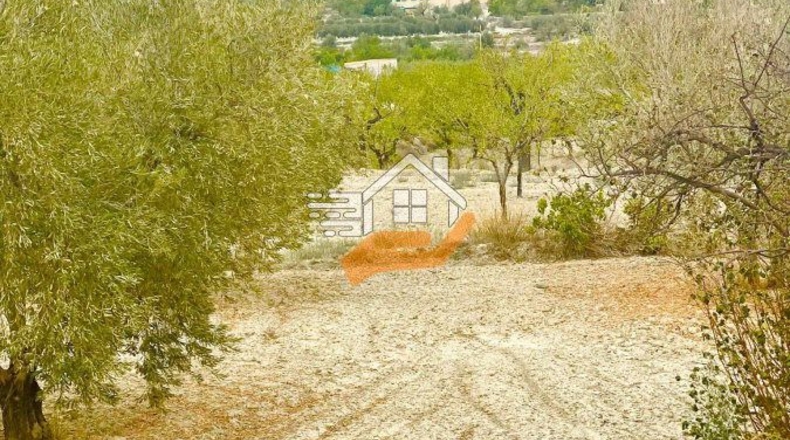 Almería - Vélez-Rubio - 4840m2