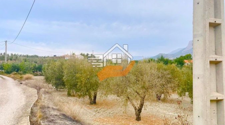 Almería - Vélez-Rubio - 4840m2