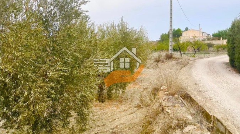 Almería - Vélez-Rubio - 4840m2