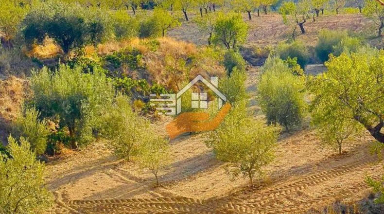Almería - La Mata - 90000m2