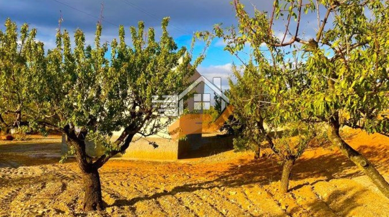 Almería - La Mata - 90000m2