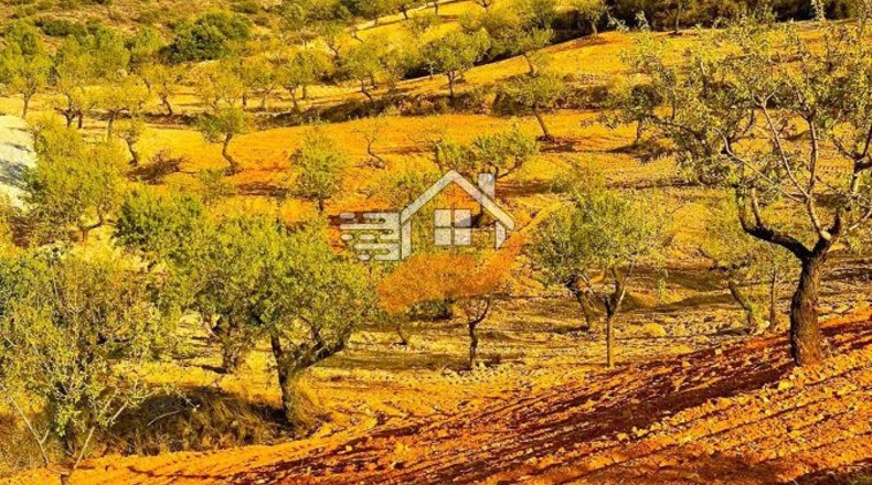 Almería - La Mata - 90000m2