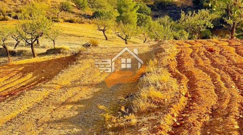 Almería - La Mata - 90000m2
