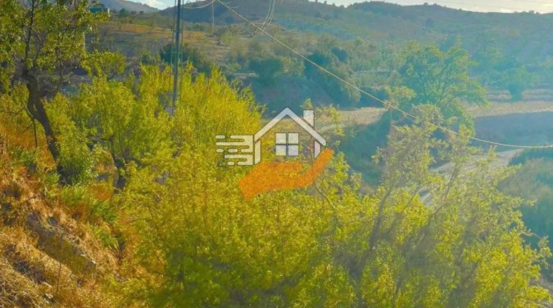 Almería - La Mata - 90000m2