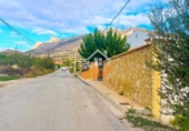 Terreny no urbanitzable en venda a Vélez-Blanco ref.: TR185954 foto